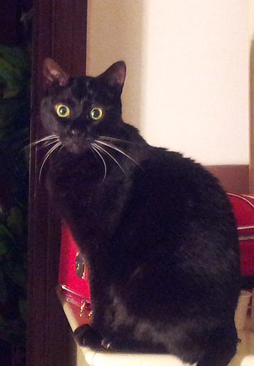 Nerone
