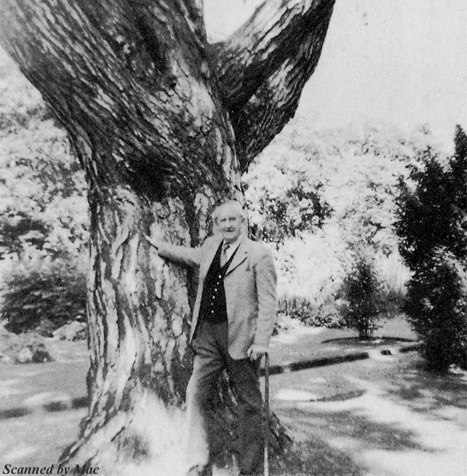 J. R. R. Tolkien [voice: Tolkien reading an early version of 'Nam&aacute;ri&euml;']